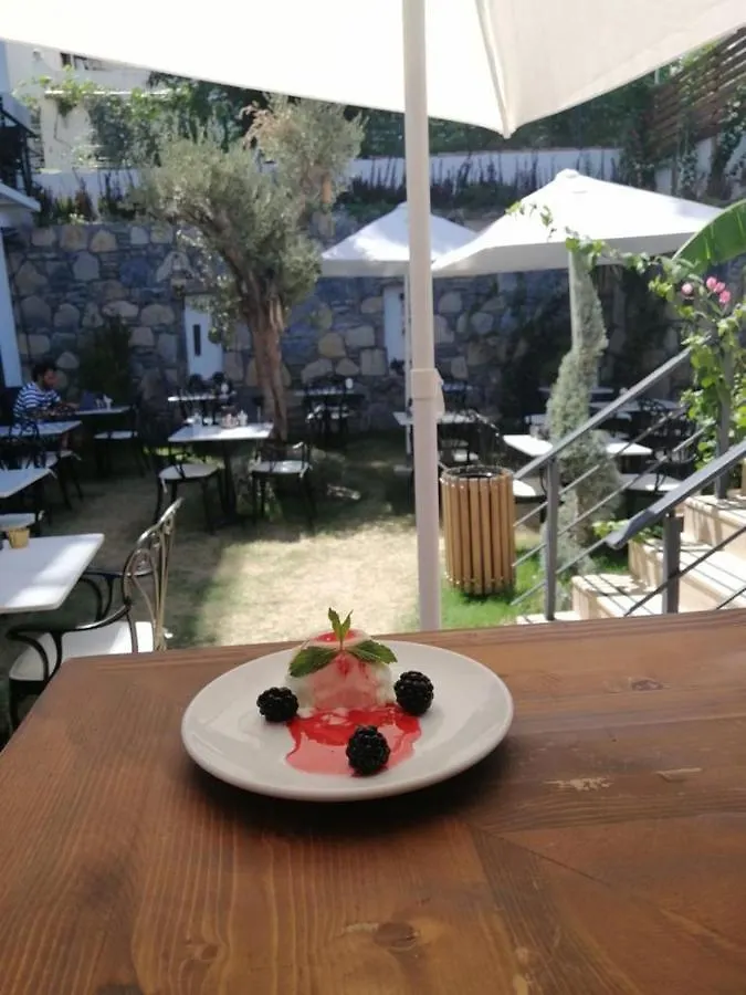 Hotel Olivia Bodrum